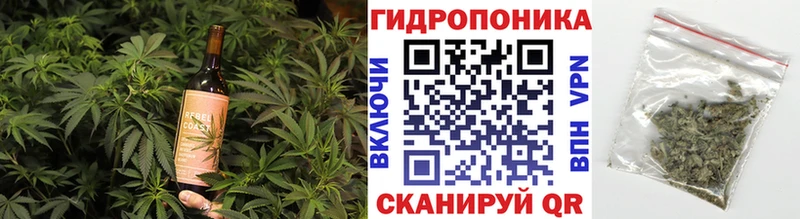 Canna-Cookies марихуана  Новоульяновск 