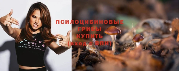 мет Ельня