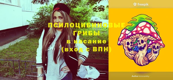 дмт Арсеньев