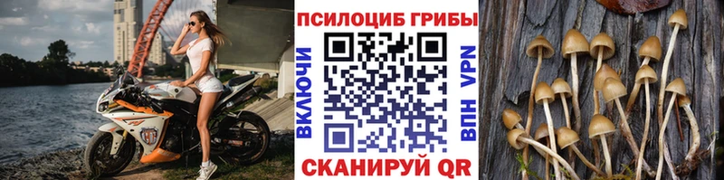 Галлюциногенные грибы прущие грибы  Новоульяновск 